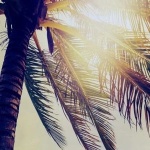 Meet your Posher, Zoey